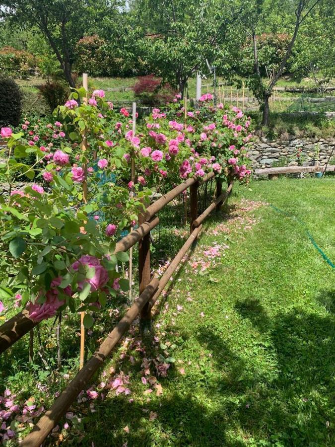 Casa Dei Tigli Villa Ormea Ngoại thất bức ảnh